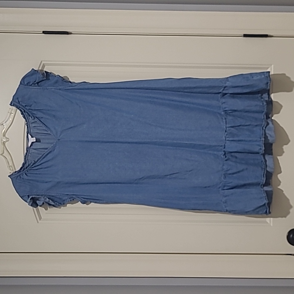 Time and Tru Blue Ruffle Sleeve Mini Dress